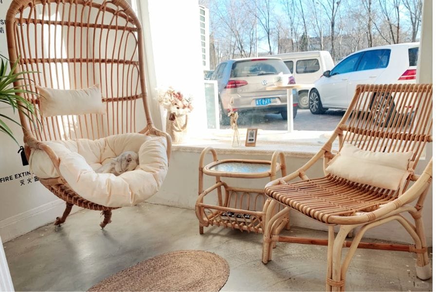 Song mây làm ghế ngồi