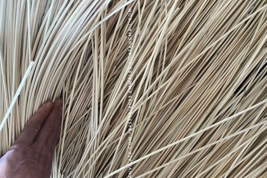 Cọng mây thực tế