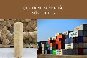 quy trinh xuat khau may tre dan