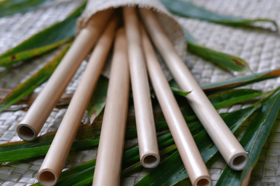 Ống hút cây sậy cần được bảo quản đúng cách
