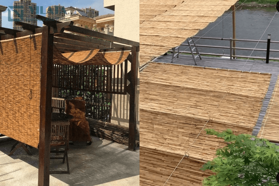 Cây sậy đem lại vẻ đẹp thiên nhiên, gần gũi