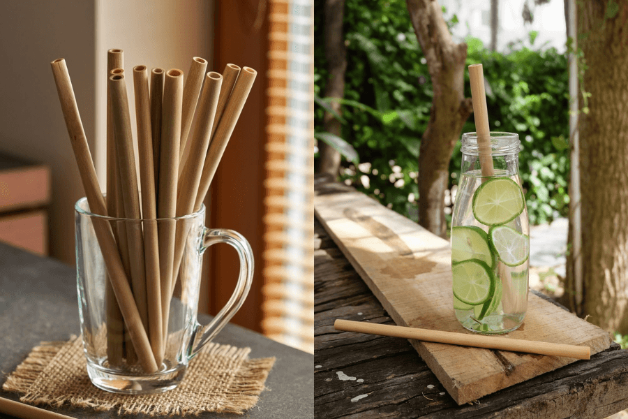 Cây sậy rất thân thiện với môi trường