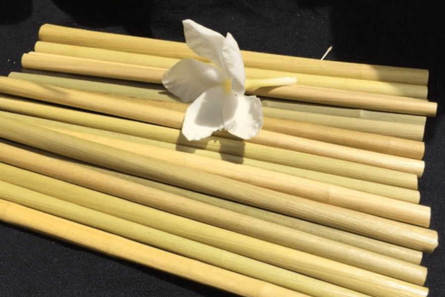 Cách làm ống hút bằng cây sậy