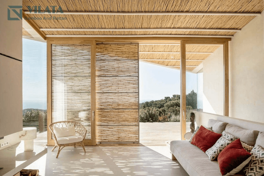 Chọn mua cây sậy tại Vilata