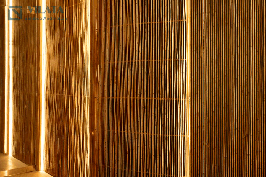 Cây sậy thân thiện với môi trường, giá thành hợp lý