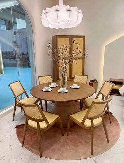 481562548 2240463383015487 3641453138911716556 n